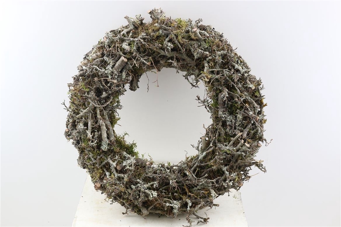 <h4>Wr Larix Moss 60cm Natural</h4>