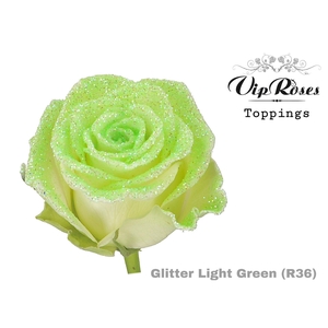 R GR GLITTER LIGHT GREEN R36 x20