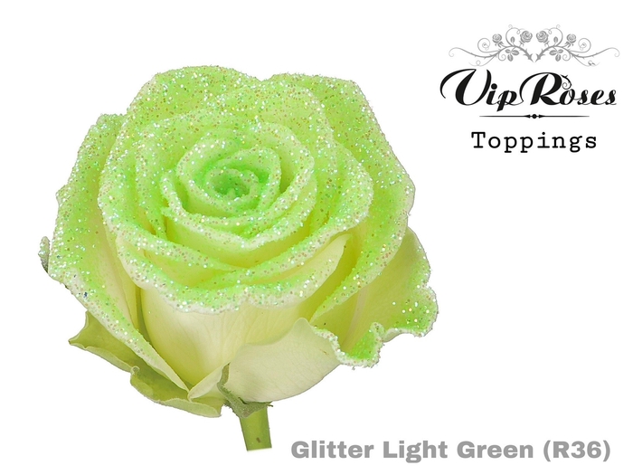 <h4>R GR GLITTER LIGHT GREEN R36 x20</h4>