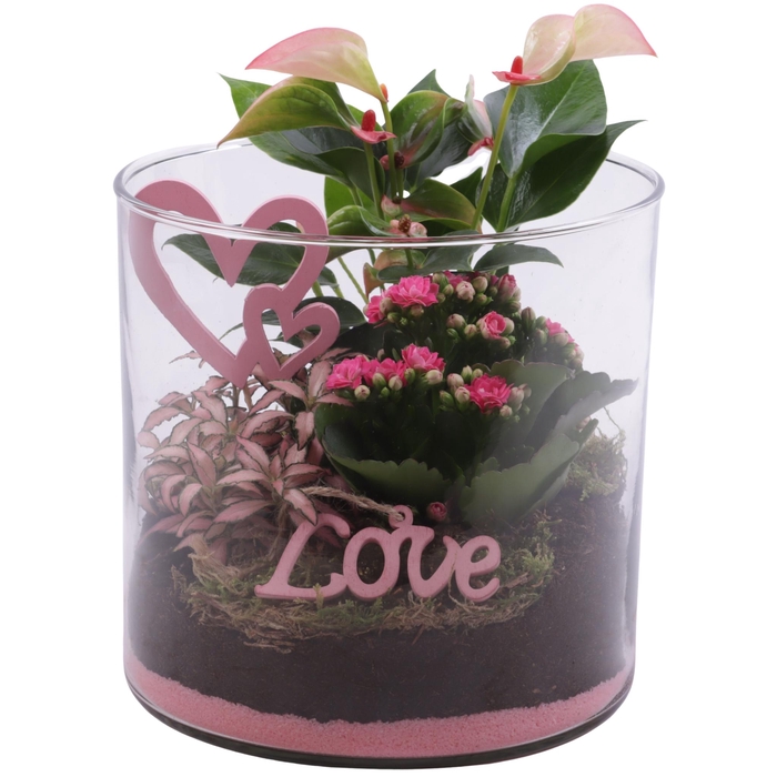 <h4>Mothersday Arr. Indoor Glass Vase Cylinder Ø19cm 3PP</h4>