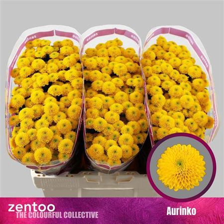 <h4>Chr S Aaa Aurinko</h4>