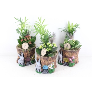 arr2 PL - Ker. boomstam indoor mix