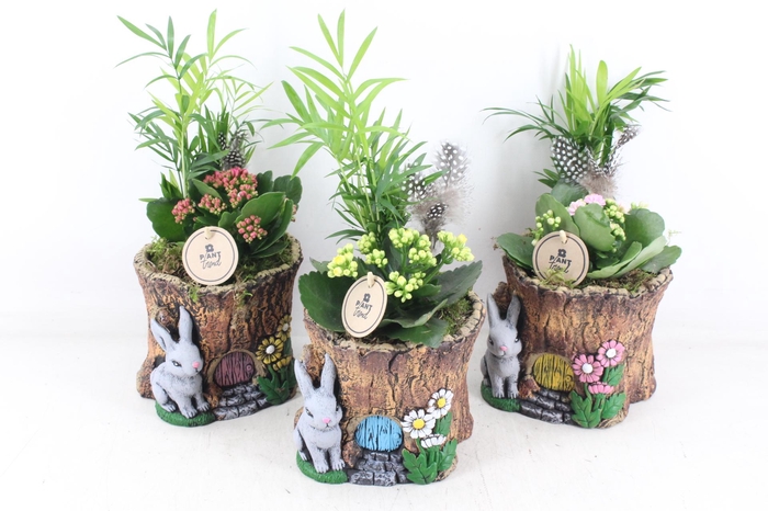 <h4>arr2 PL - Ker. boomstam indoor mix</h4>