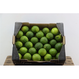 Sier Limes X54 P Box