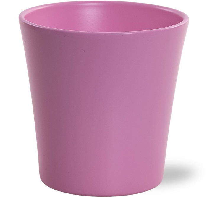 <h4>Huis en tuindecoratie overig H%</h4>