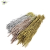 Triticum per bunch Mixed colours Wedding