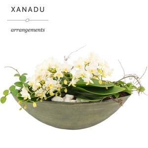 Xanadu Kuala Lumpur