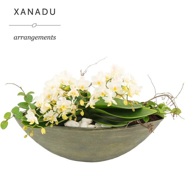<h4>Xanadu Kuala Lumpur</h4>