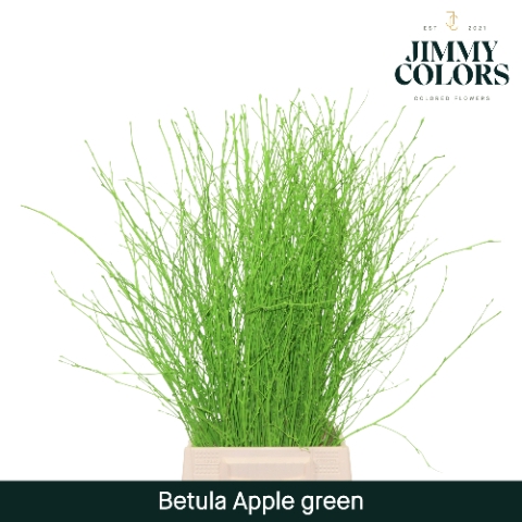 <h4>Betula L70 Apple Green</h4>