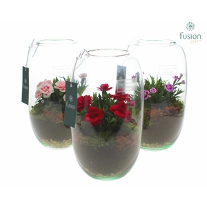 Green Bottle Isabella Small met Dianthus H25H26 FC22.0513