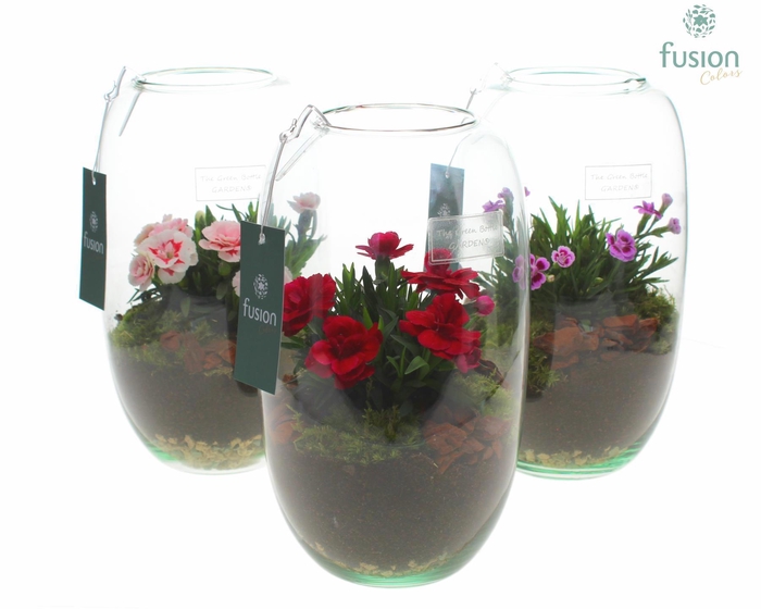 <h4>Green Bottle Isabella Small met Dianthus H25H26 FC22.0513</h4>