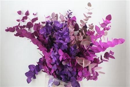 <h4>EUC CIN KLB P BOS H%</h4>