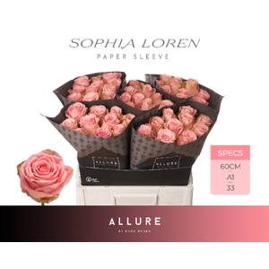 R GR SOPHIA LOREN ALLURE Allure Specials