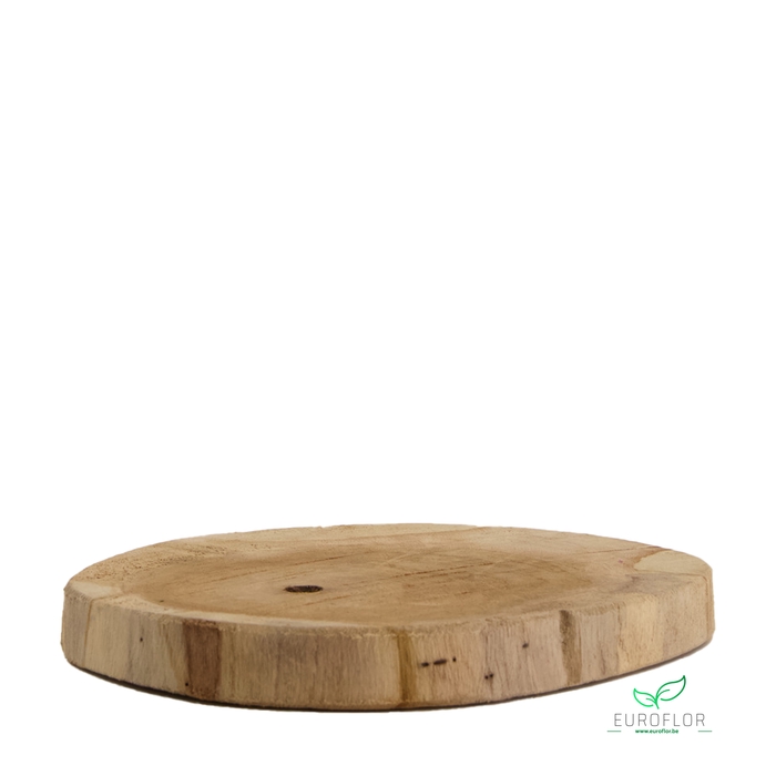 <h4>WOOD SLICE TEAK 23X23X2CM NATURAL</h4>