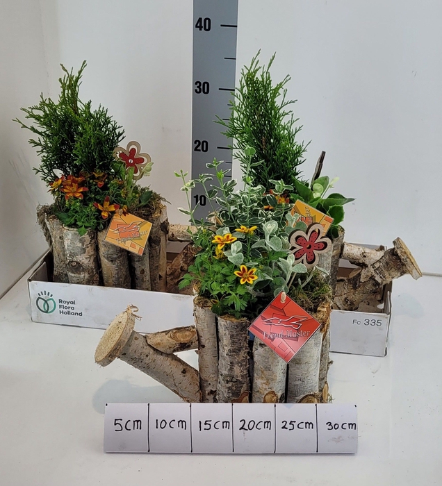 <h4>ARR TUINPLANTEN</h4>