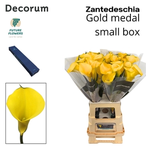 ZANT GOLD MEDAL MEDIUM BOX 70 CM 20 ST.