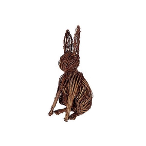 Rabbit Vine L22W22H60