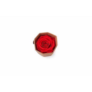 Ro Pres Medium Scarlet