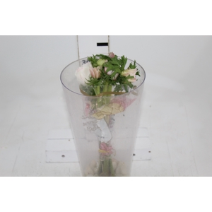 ANEMONA BIANCO 030 CM