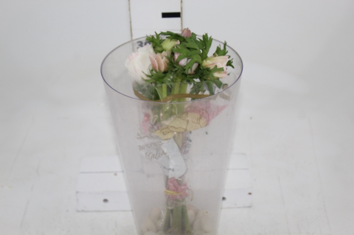<h4>ANEMONA BIANCO 030 CM</h4>