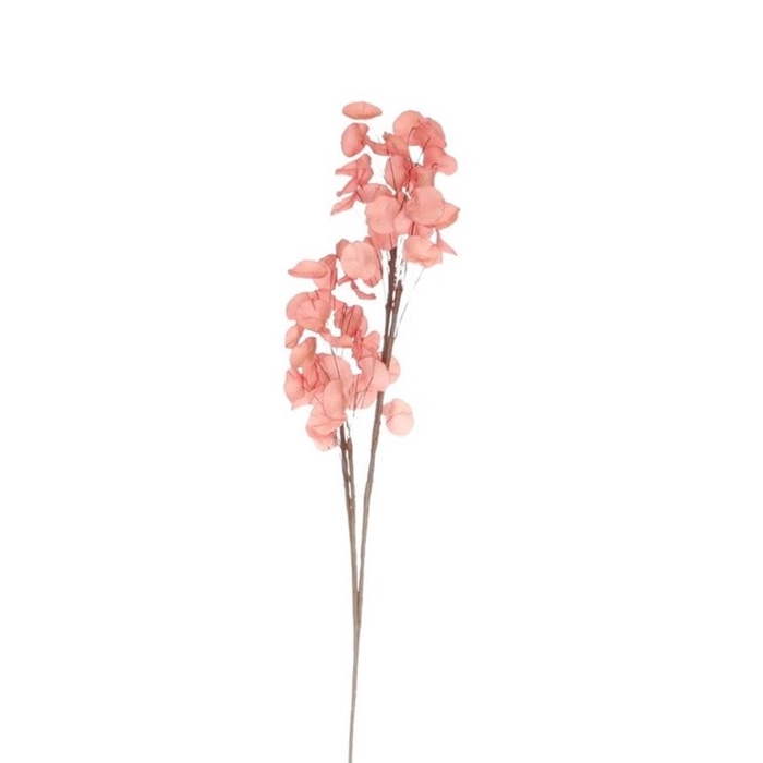 <h4>Kunstbloemen Foam Cotinea 112cm</h4>