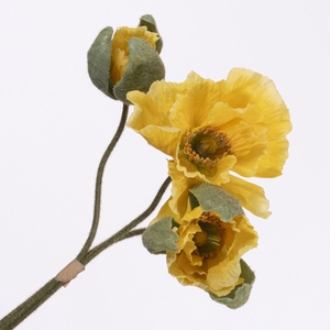 Papaver Bundle Yellow BK770015YEL