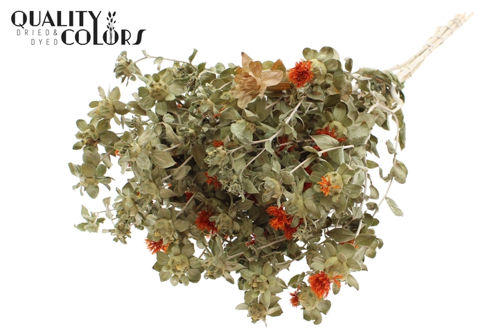 <h4>Carthamus per bunch  Natural Orange</h4>
