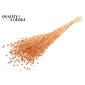 Lino Vlas per bunch in poly Intense Frosted Salmon