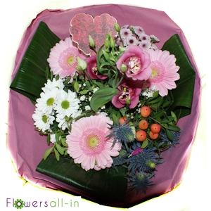 M202410 Roze