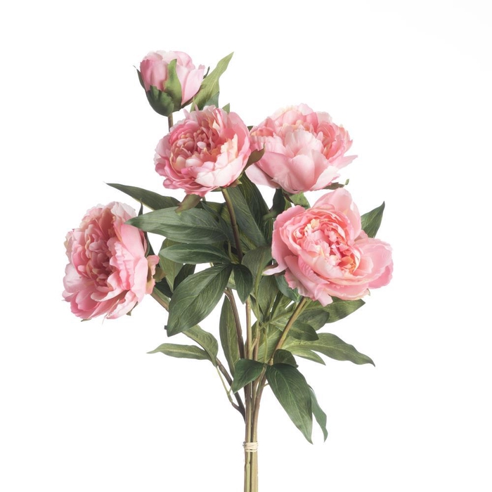 <h4>AF Peony Bundle L66cm Pink</h4>