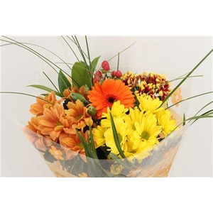 Boeket Micro Oranje