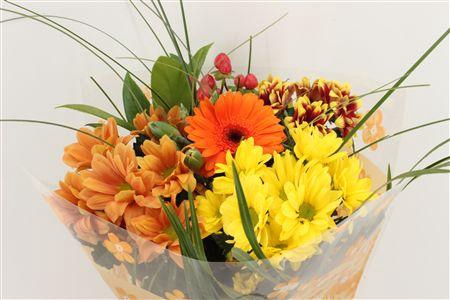 <h4>Boeket Micro Oranje</h4>