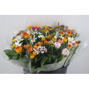 Boeket Primavera P Bunch