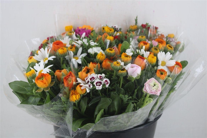 <h4>Boeket Primavera P Bunch</h4>