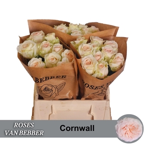 R GR CORNWALL