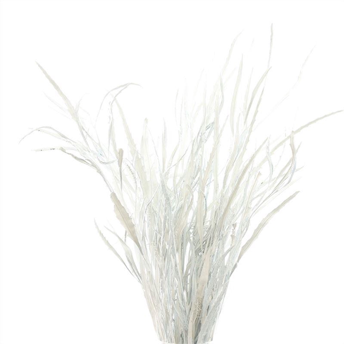 <h4>Grevillea Geverfd</h4>