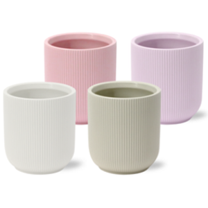 Spathiphyllum Chopin Charming - 9cm in Atlanta | Mimesis