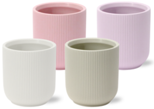 <h4>Spathiphyllum Chopin Charming - 9cm in Atlanta | Mimesis</h4>