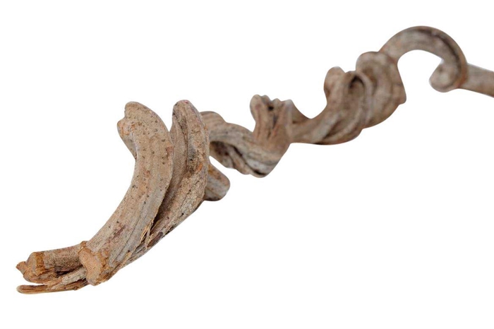 <h4>Cipo Rosca 200 Cm 4-5cm</h4>