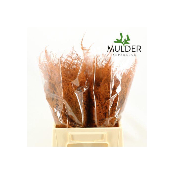 <h4>ASP OV KLB H%</h4>