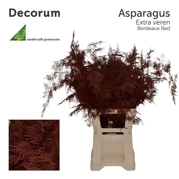 <h4>Asp extra veren Bordeaux red</h4>