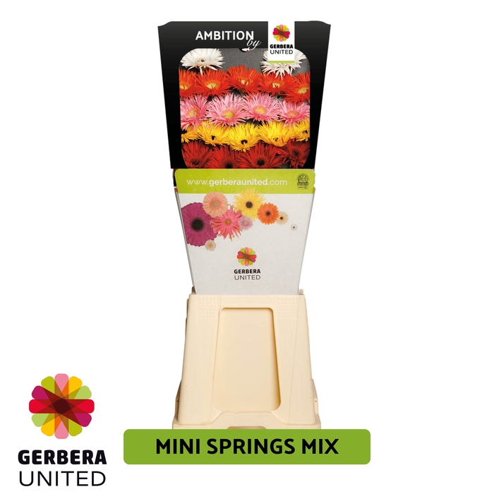 <h4>Ge Mi United Mini Springs Mix Doos</h4>