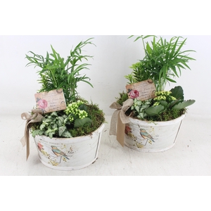 Arr2 Td - Schaal Rond Bird - Geel/wit