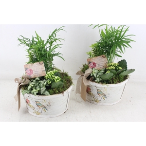 arr2 TD - Schaal rond bird - geel/wit