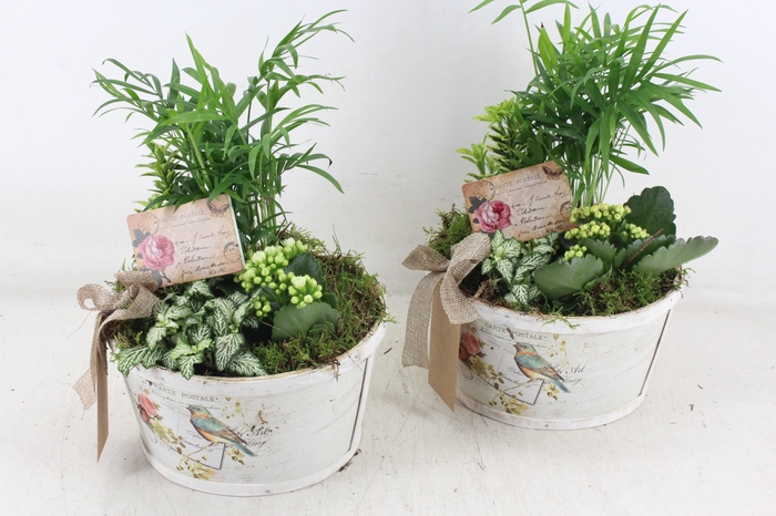 Arr2 Td - Schaal Rond Bird - Geel/wit