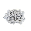 Paras peepal 500gr in poly silver