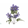 Clematis Blue Pirouette Extra