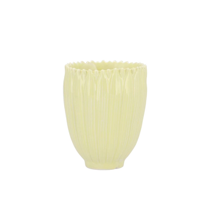 <h4>Bloom Daisy Dreamy Yellow Cup 9x9x11cm Nm</h4>