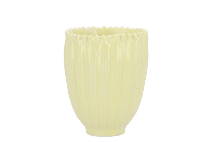 Bloom Daisy Dreamy Yellow Cup 9x9x11cm Nm