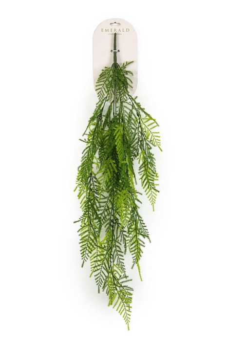 <h4>Asparagus hangende struik tt grn 95</h4>